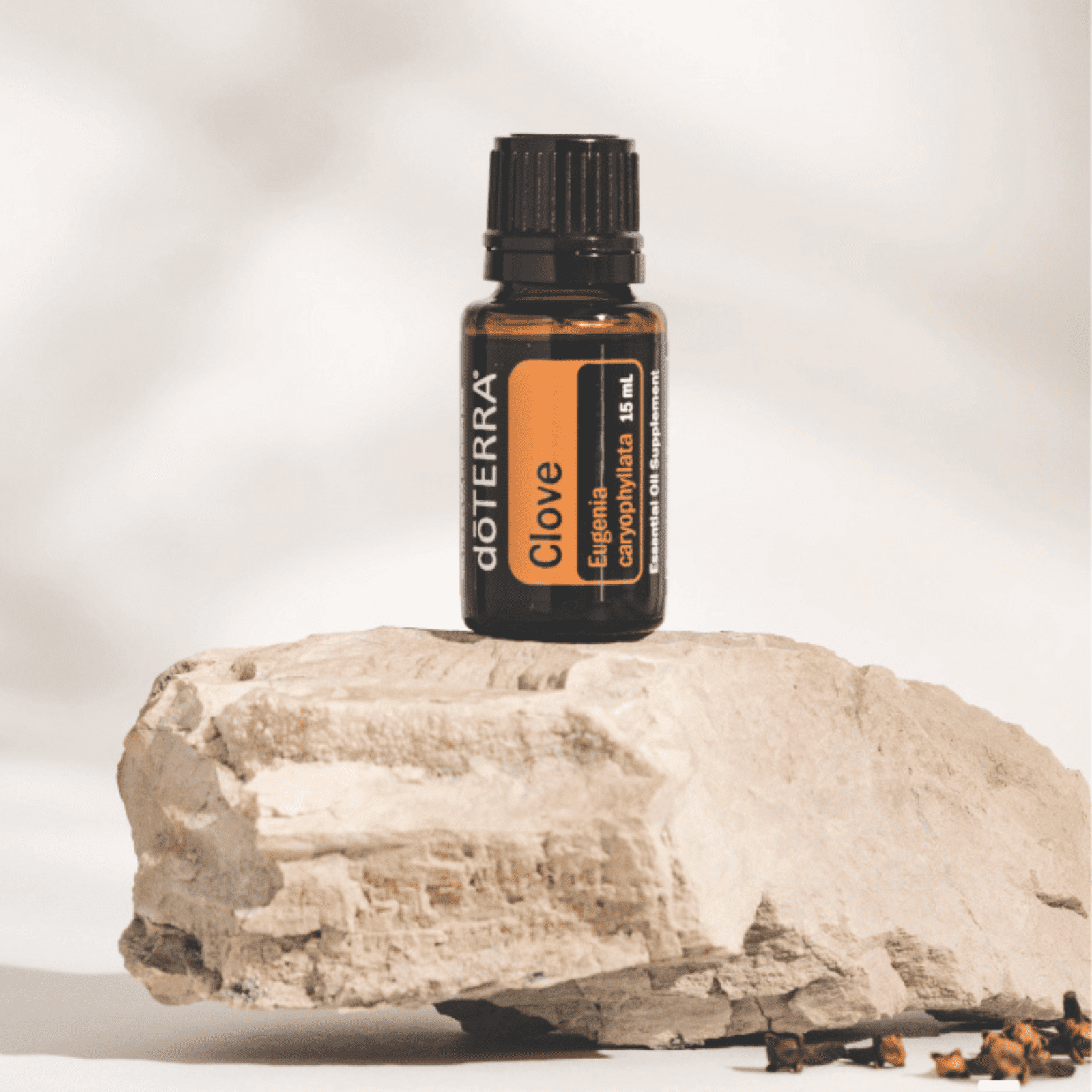 Clou de girofle (Clove) - 15 ml – Image 3