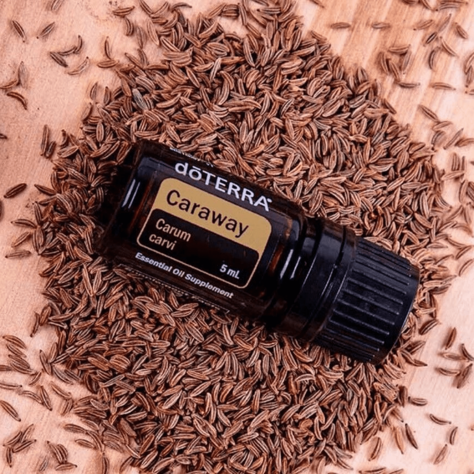 Carvi (Caraway) - 5 ml – Image 3