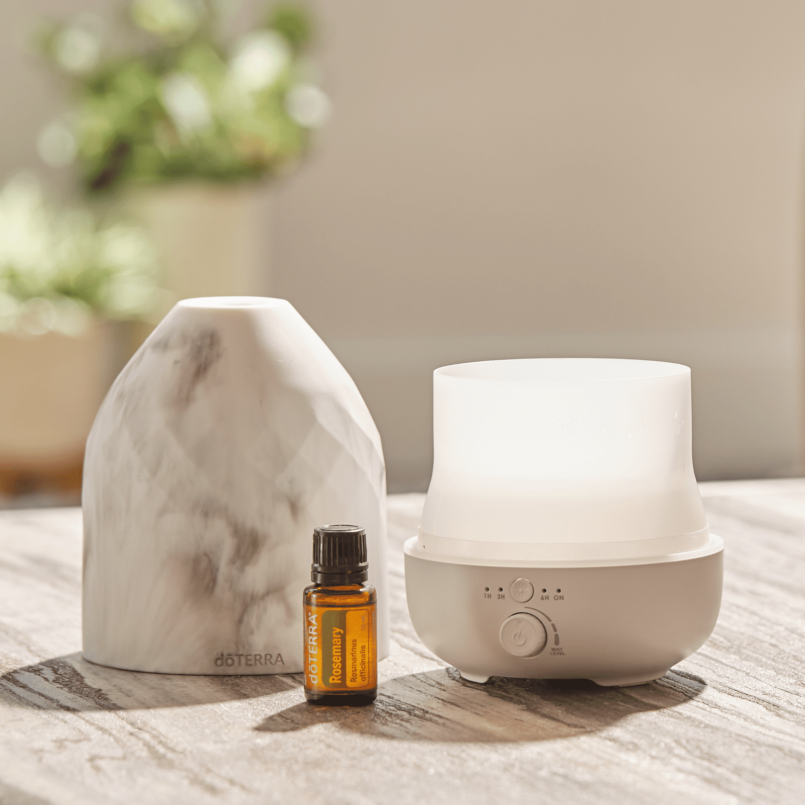 Romarin (Rosemary) - 15 ml – Image 2