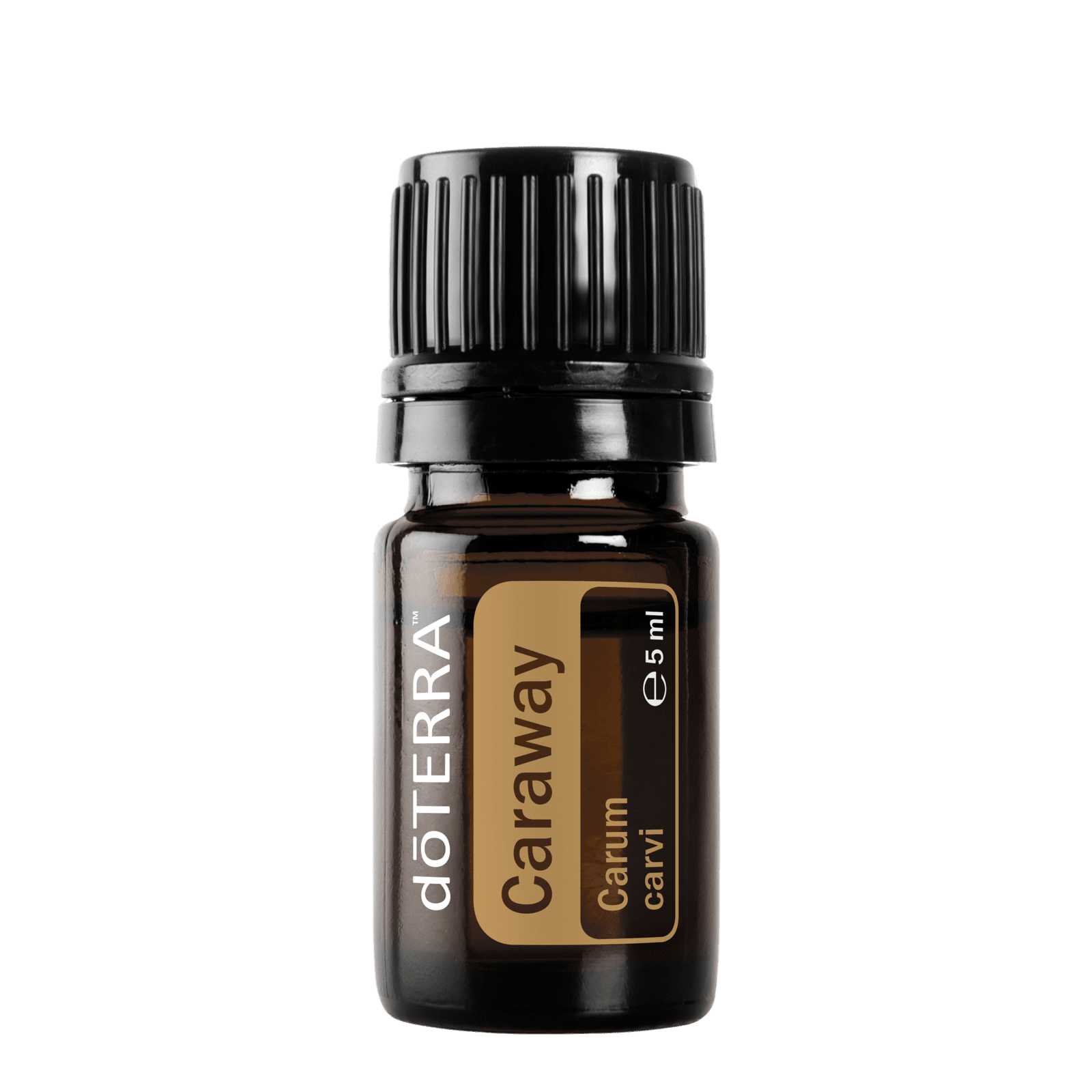 Carvi (Caraway) - 5 ml